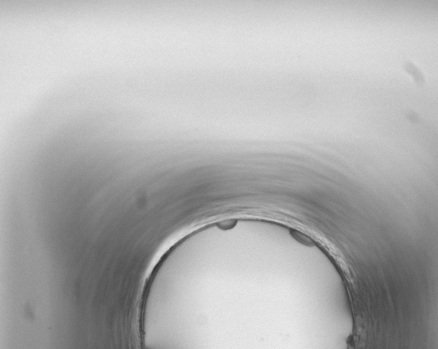 X0000115421530200912011235