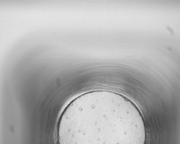 X0000115421531200912011235