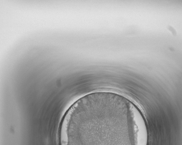 X0000115421533200912011235