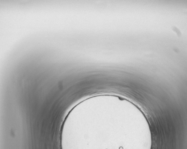 X0000115421534200912011235