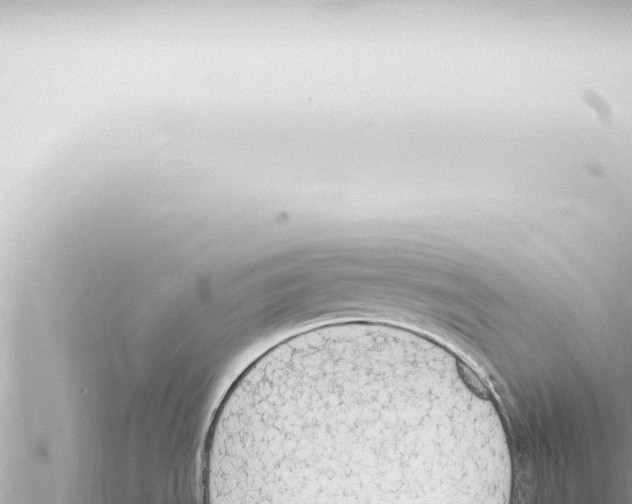 X0000115421535200912011235