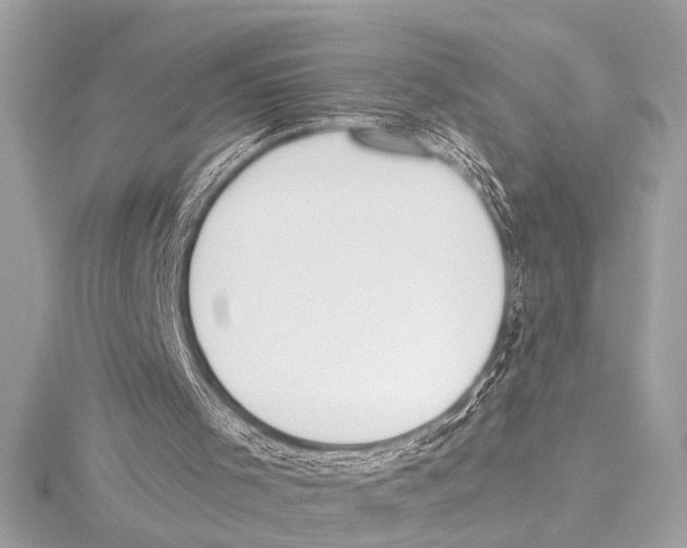 X0000115420001200912011336