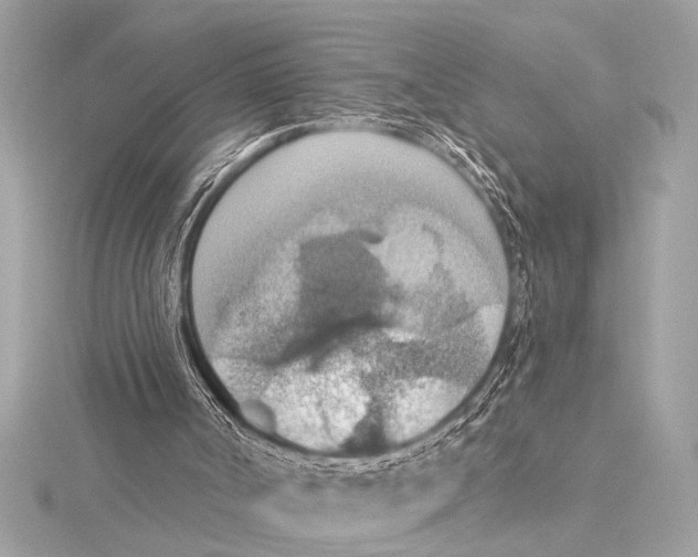 X0000115420002200912011336