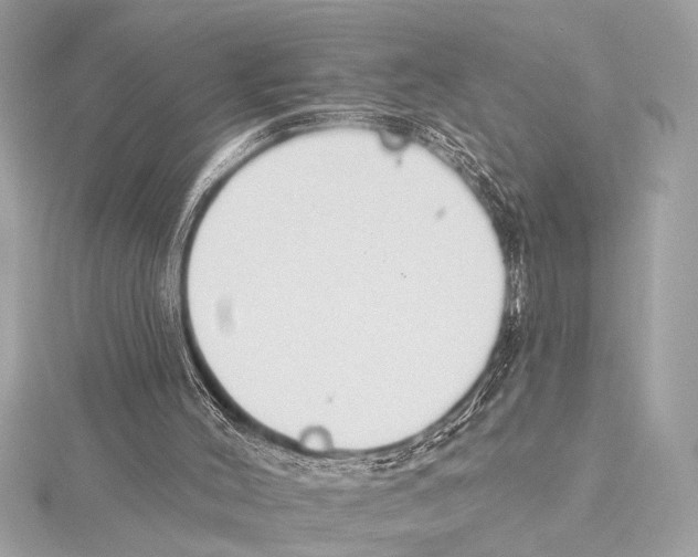 X0000115420004200912011336