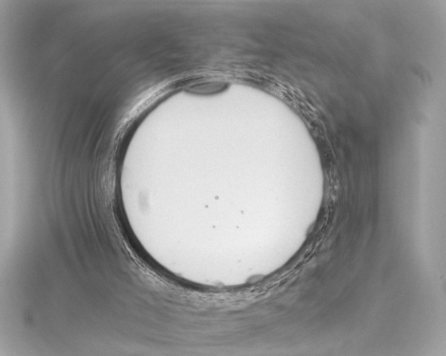 X0000115420005200912011336