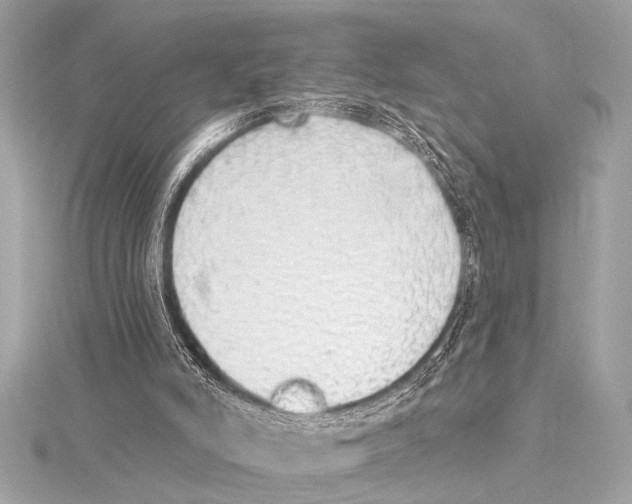 X0000115420006200912011336