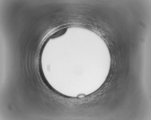 X0000115420007200912011336