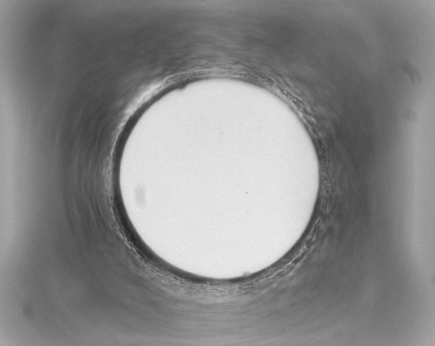 X0000115420008200912011335