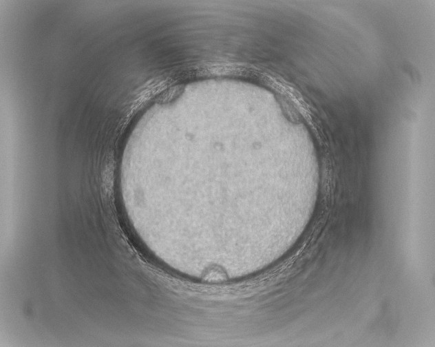 X0000115420010200912011335