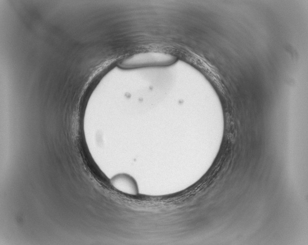 X0000115420012200912011335