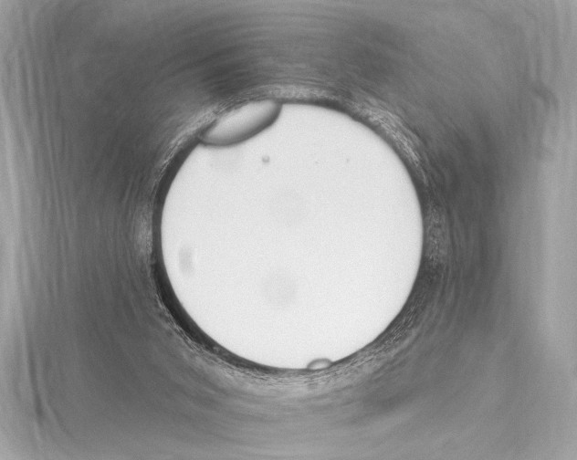 X0000115420015200912011335