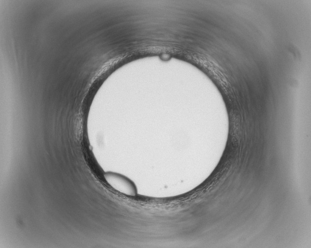 X0000115420016200912011335