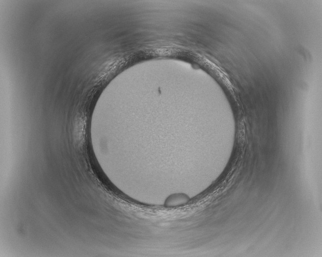 X0000115420018200912011335