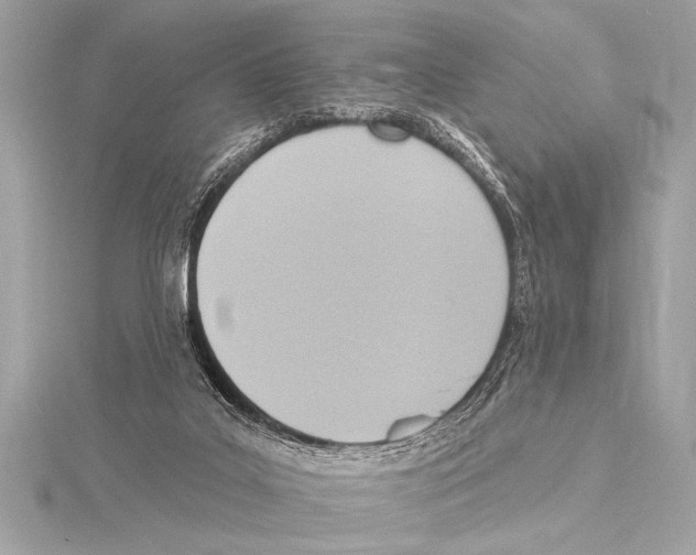 X0000115420019200912011335