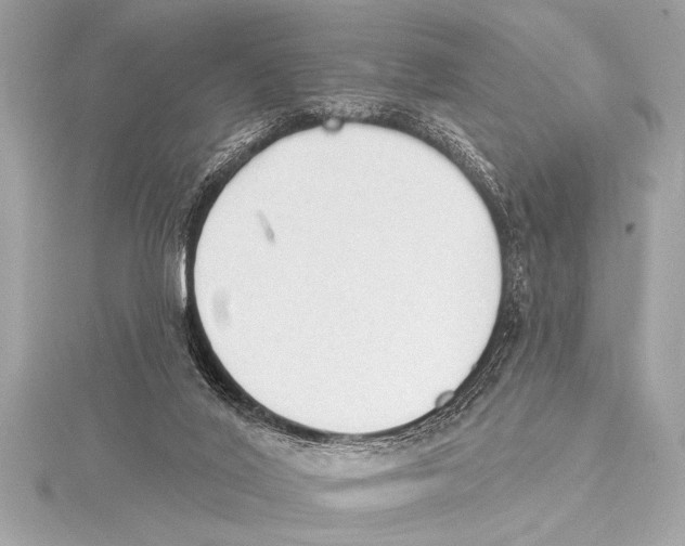 X0000115420020200912011335