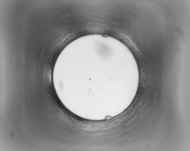 X0000115420021200912011335