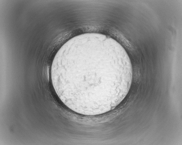 X0000115420022200912011335