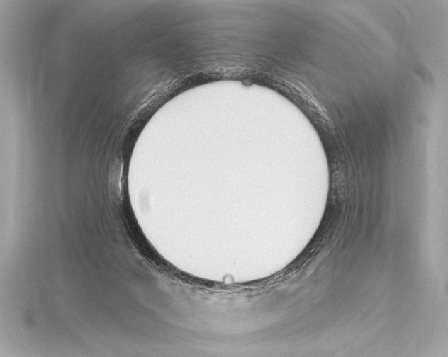 X0000115420024200912011335