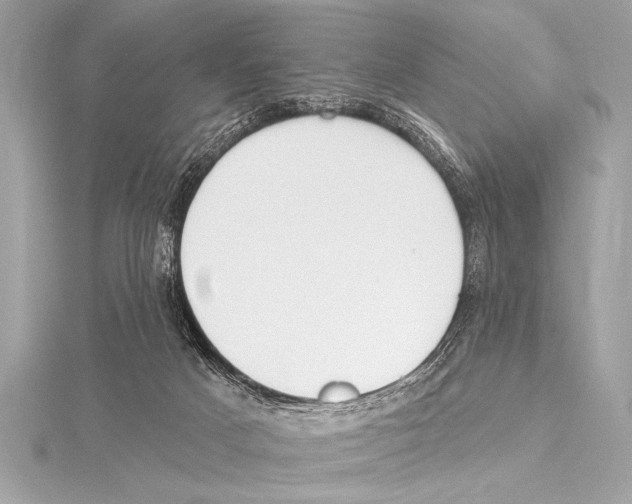 X0000115420025200912011335