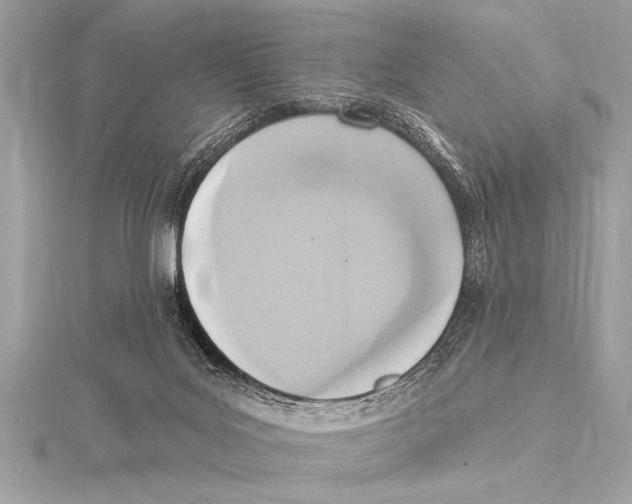 X0000115420027200912011335