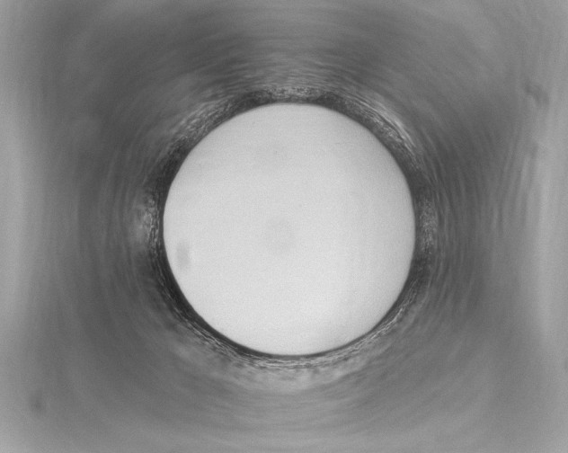 X0000115420029200912011335