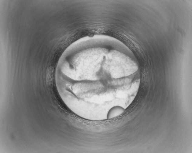 X0000115420030200912011335