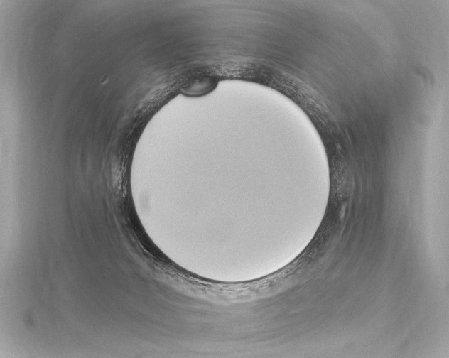 X0000115420031200912011335