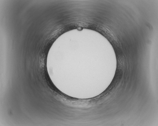 X0000115420032200912011335