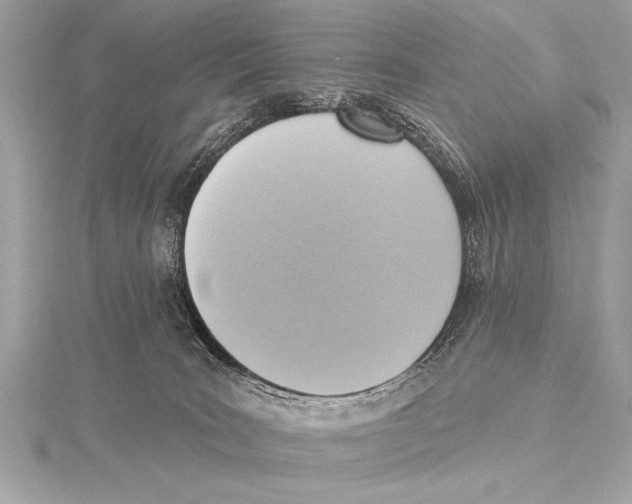 X0000115420035200912011335