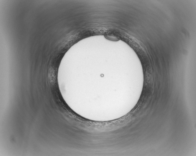 X0000115420037200912011335