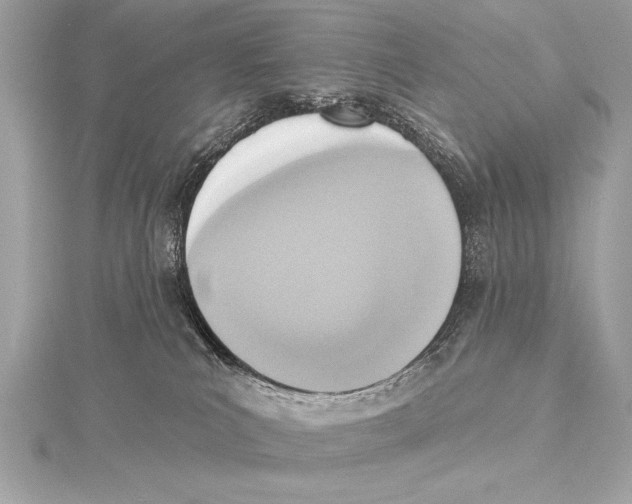 X0000115420039200912011335