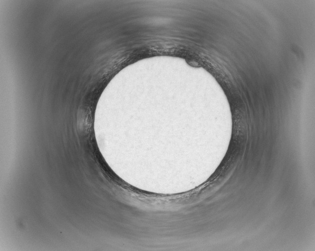 X0000115420040200912011335