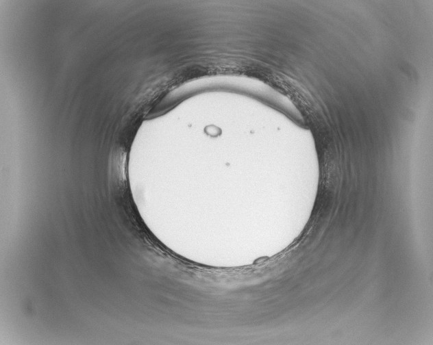 X0000115420041200912011335