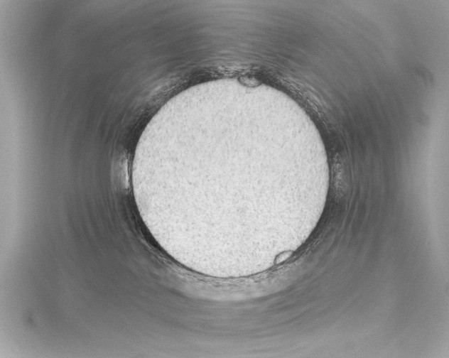 X0000115420042200912011335