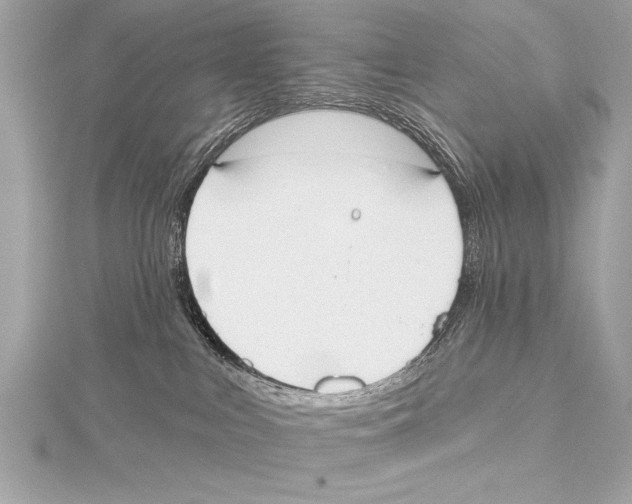 X0000115420043200912011335