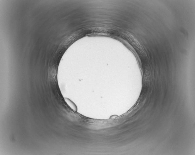 X0000115420045200912011335