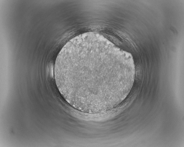 X0000115420046200912011335