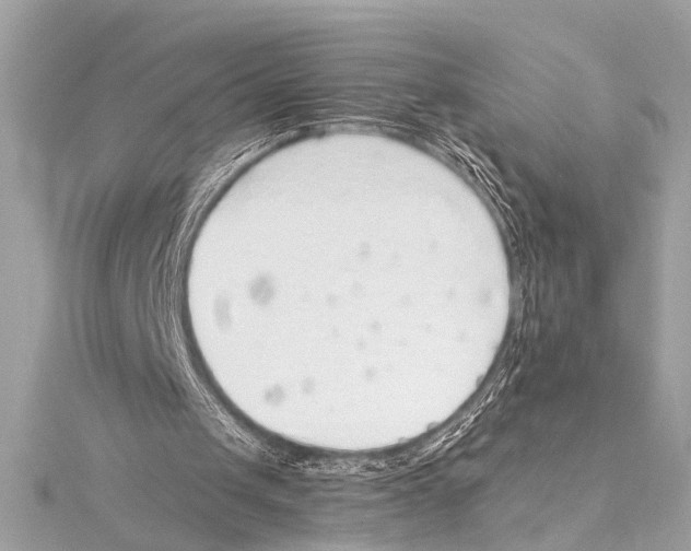 X0000115420049200912011334