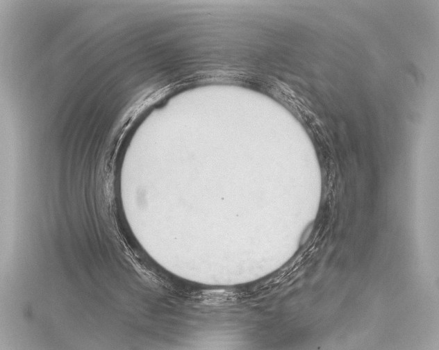 X0000115420050200912011334