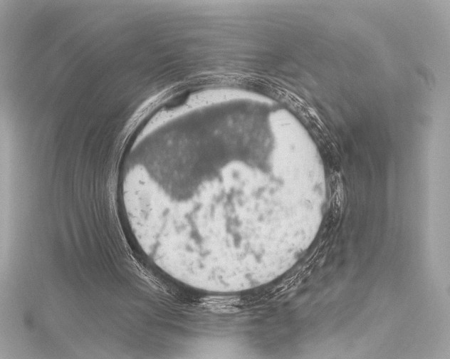 X0000115420051200912011334