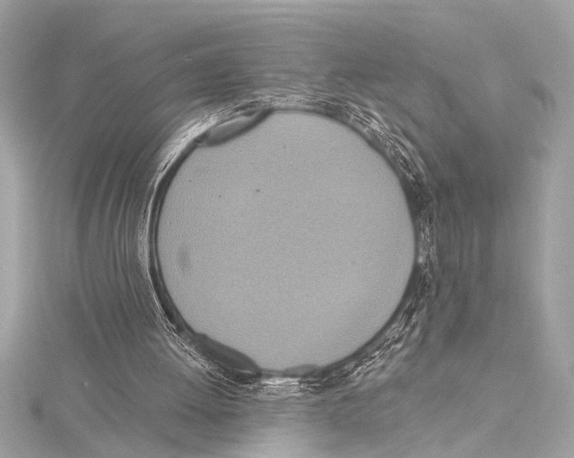 X0000115420052200912011334