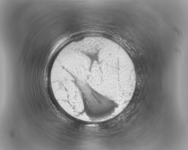 X0000115420053200912011334