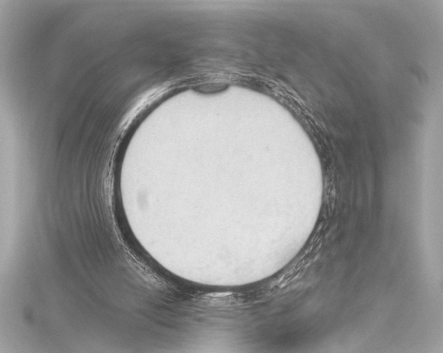 X0000115420054200912011334