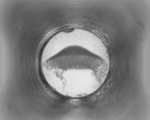 X0000115420055200912011334