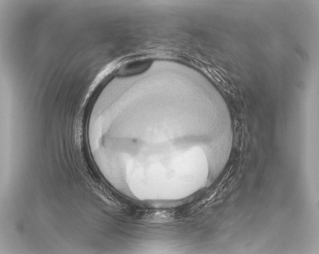 X0000115420056200912011334