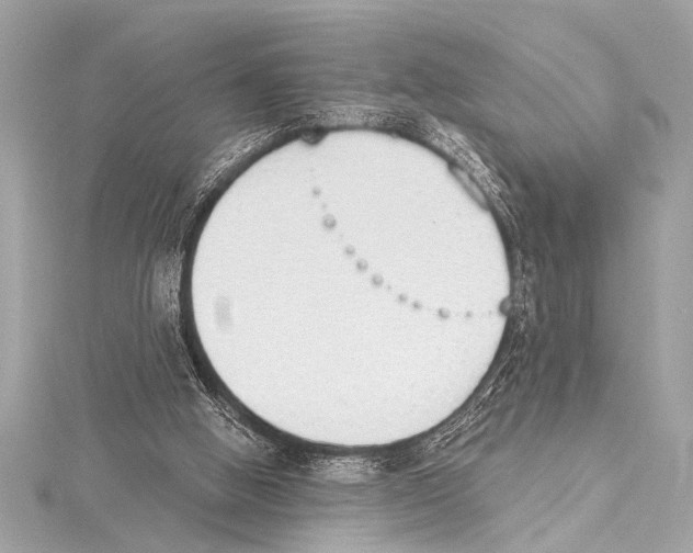 X0000115420058200912011334