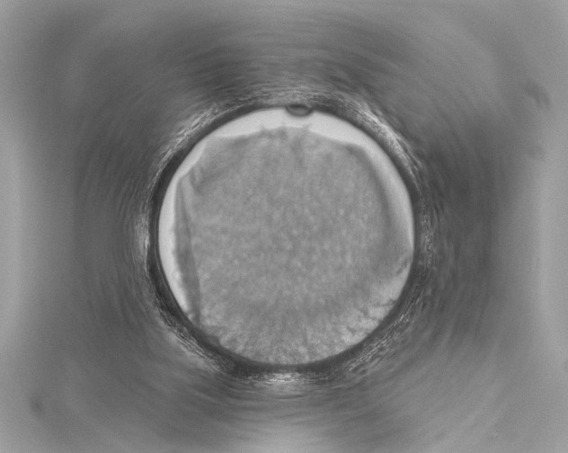 X0000115420059200912011335