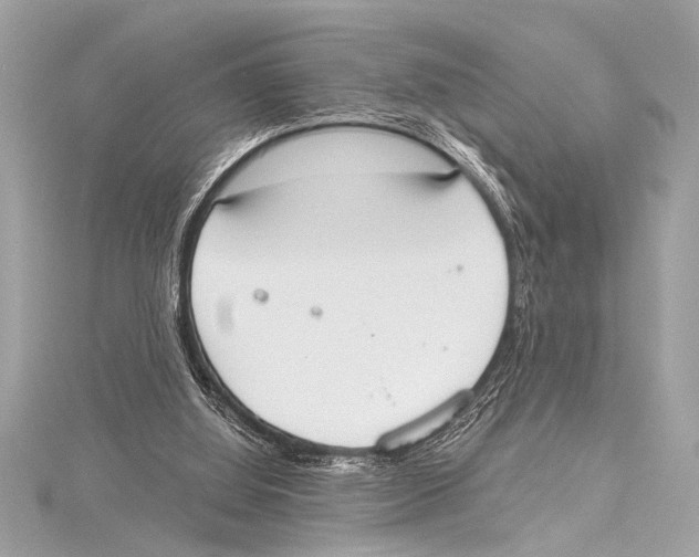 X0000115420060200912011335