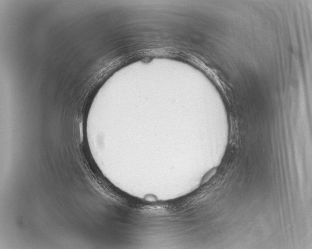 X0000115420061200912011335