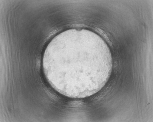 X0000115420063200912011335